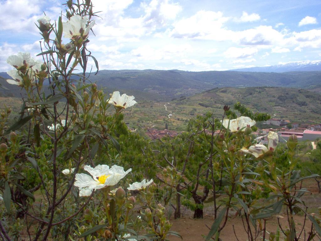 Hotel Rural Sierra De Francia Sotoserrano Екстериор снимка